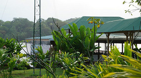 Tortuguero65