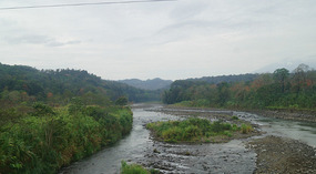 Tortuguero8