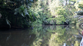 Tortuguero116