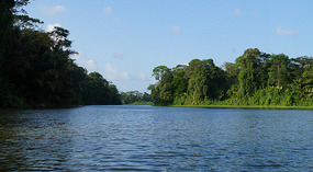 Tortuguero120