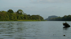 Tortuguero26