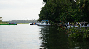 Tortuguero3