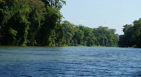 Tortuguero70