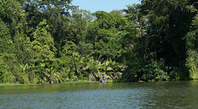 Tortuguero74