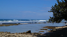 Puerto Viejo3