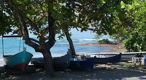 Puerto Viejo5
