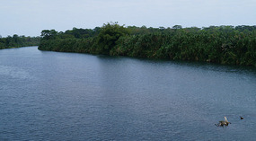 nach Limon3