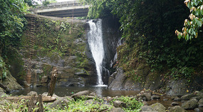 Bribri37