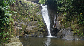 Bribri38