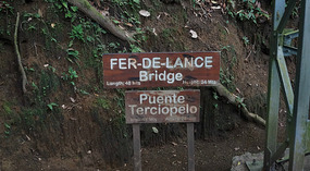 Hanging Bridges11