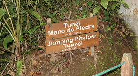 Hanging Bridges13