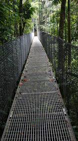 Hanging Bridges16