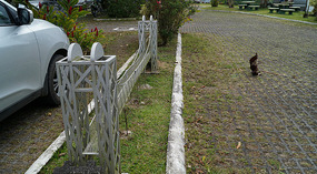 Hanging Bridges2
