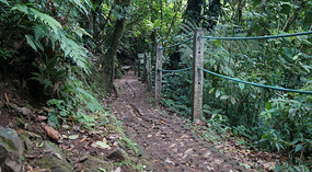 Hanging Bridges20