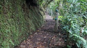 Hanging Bridges21