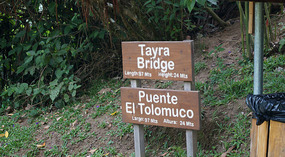 Hanging Bridges3