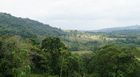 Hanging Bridges32