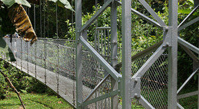 Hanging Bridges4