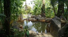 Arenal10