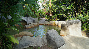 Arenal11