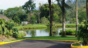 Arenal7