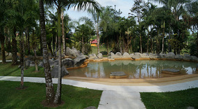 Arenal9