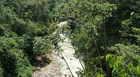 Weg nach La Fortuna3