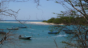 Tamarindo1