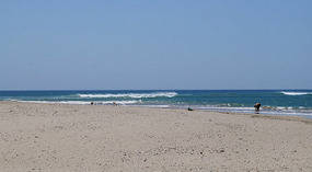 Tamarindo6