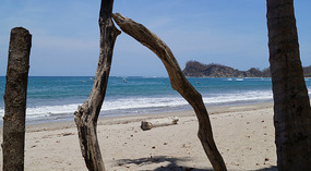 Pacific12