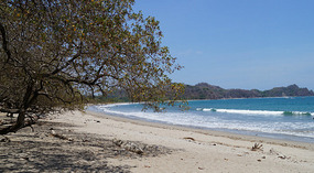 Pacific13
