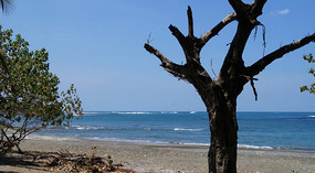 Pacific3