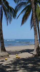 Pacific4