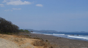 Pacific7