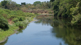 Pacific8