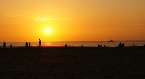 Tamarindo3