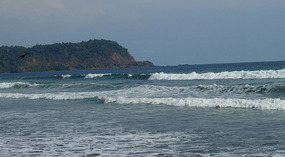 Jaco10