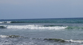 Jaco12