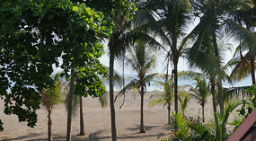 Jaco6