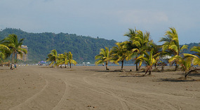 Jaco8