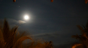 Mond1