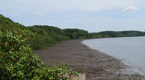 Weg nach Jaco3