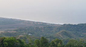 Jaco6
