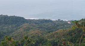 Jaco7