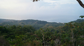 Jaco8