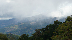 Paraiso Quetzal19