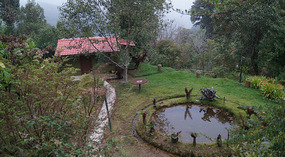 Paraiso Quetzal24