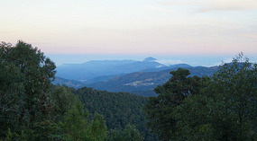 Paraiso Quetzal1