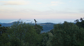 Paraiso Quetzal2