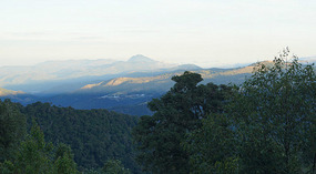 Paraiso Quetzal3